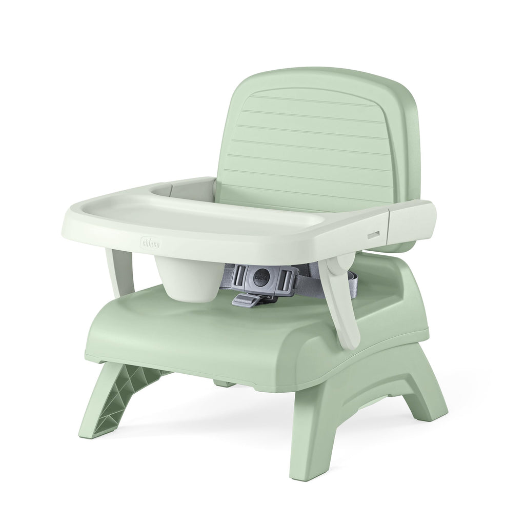 3-in-1 Portable Booster Seat T273861