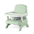 3-in-1 Portable Booster Seat T273861