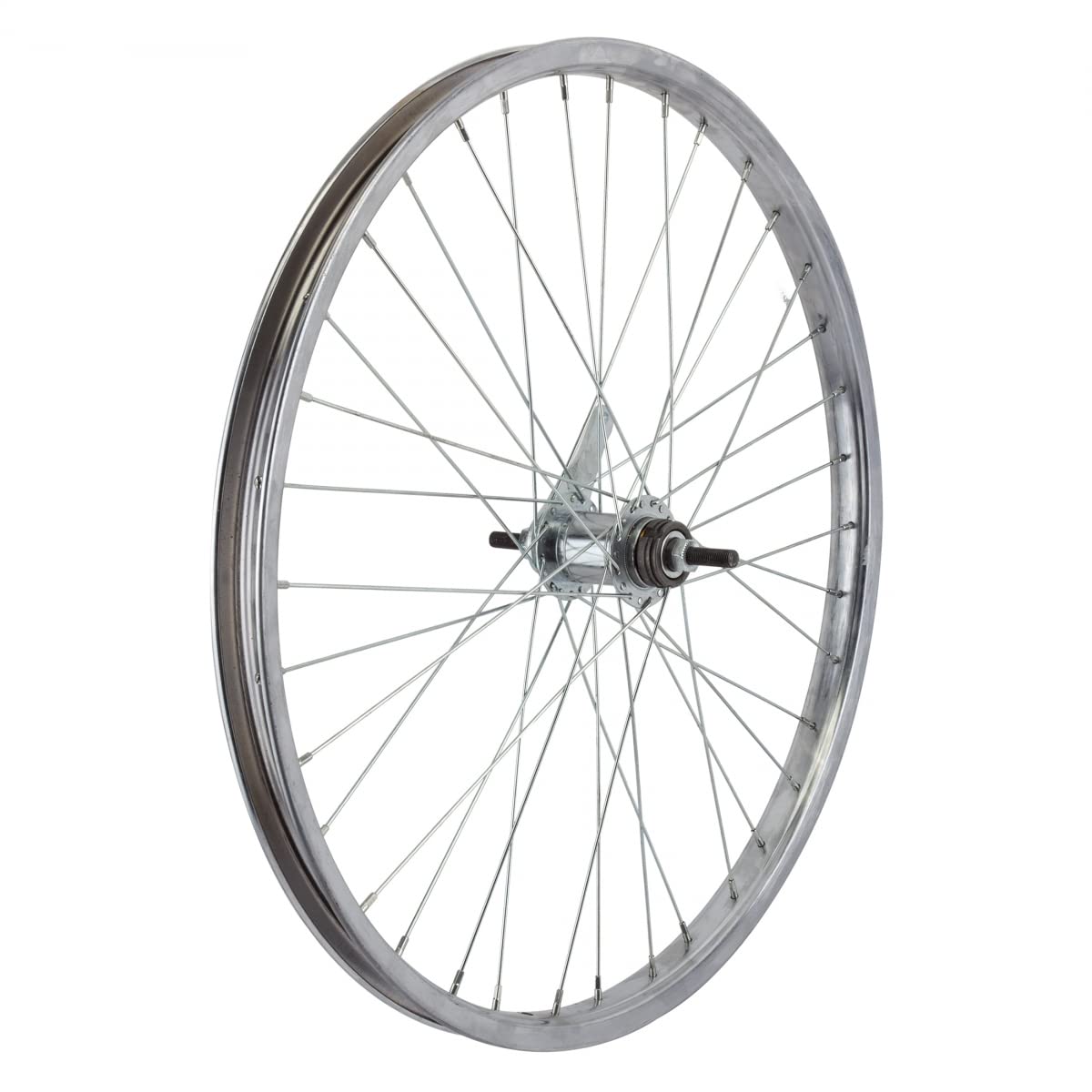 Rear Bicycle Wheel with Coaster Brake, 24 x 1.75, 36H, Steel, Silver O149529