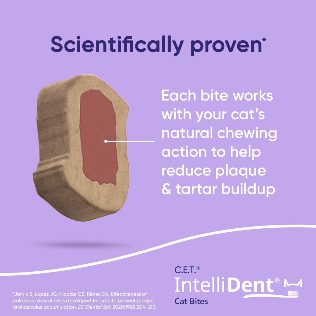 Cat Dental Care V124