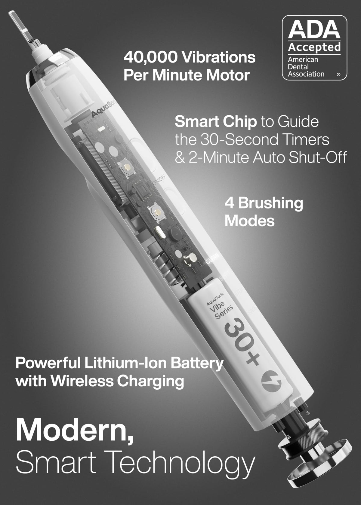 Electric Toothbrush with 8 Brush Heads & Travel Case C105