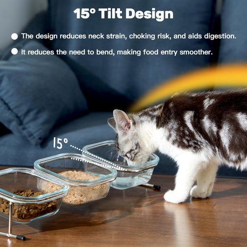 15° Tilted Glass Raised Cat Bowls Q7359
