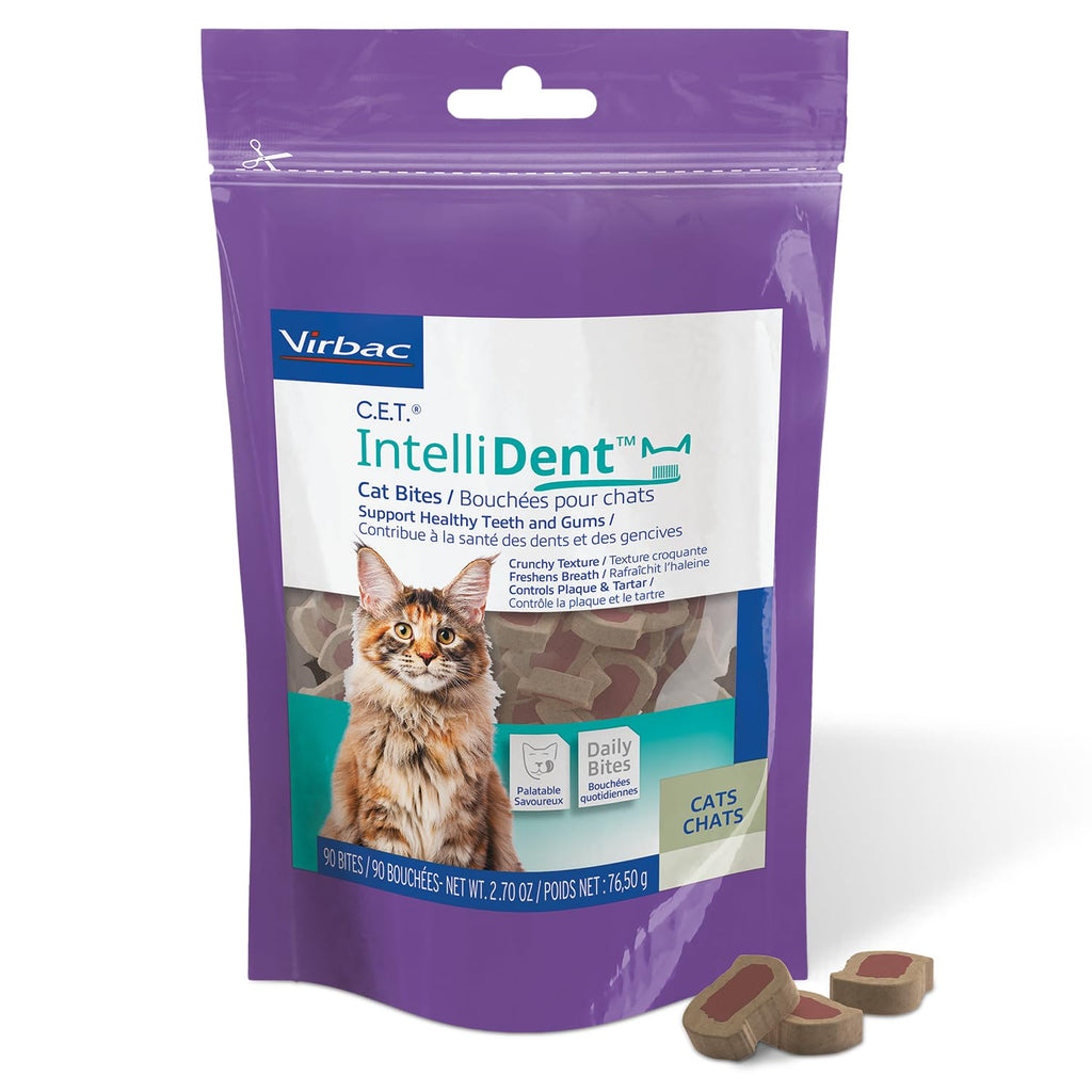 Cat Dental Care V124