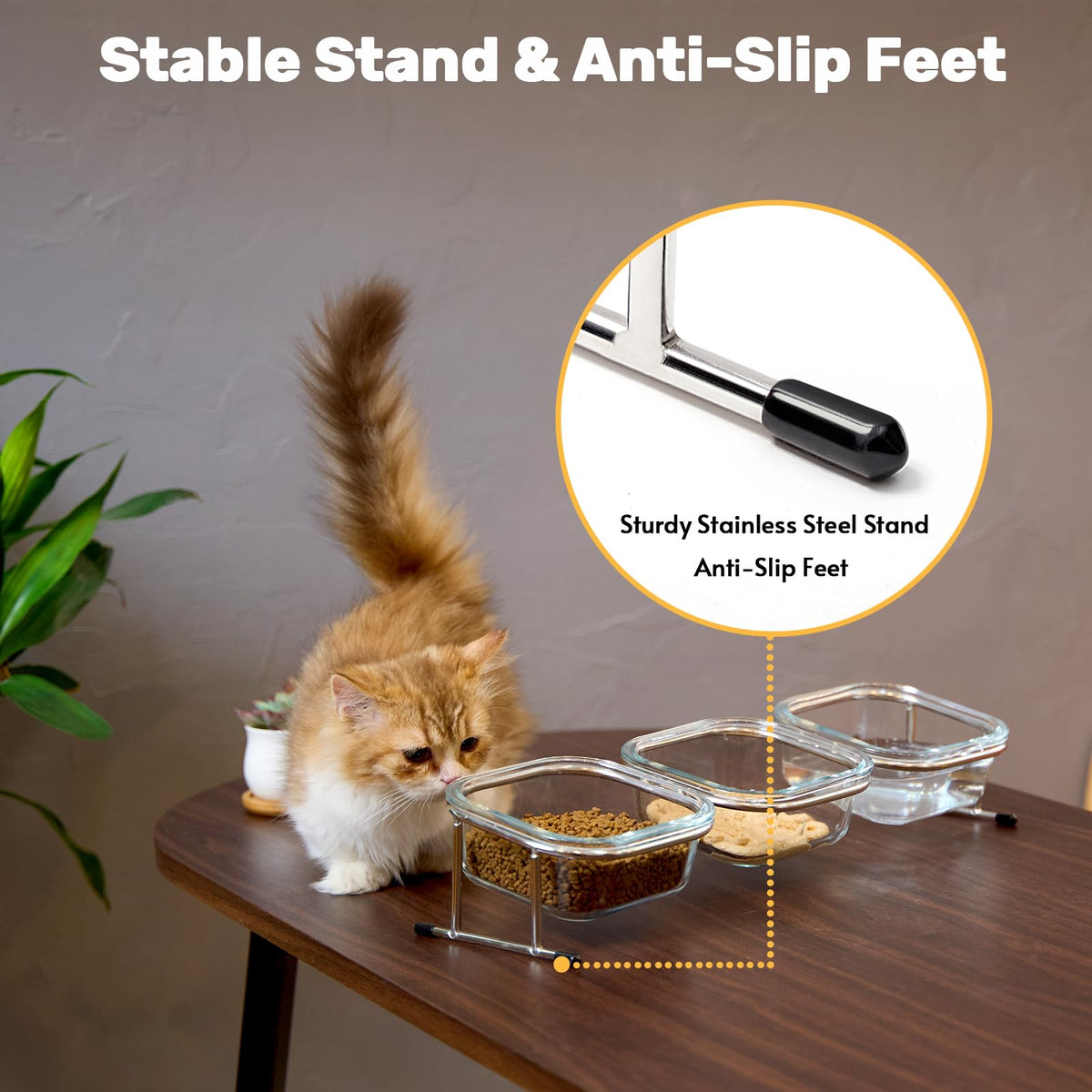 15° Tilted Glass Raised Cat Bowls Q7359