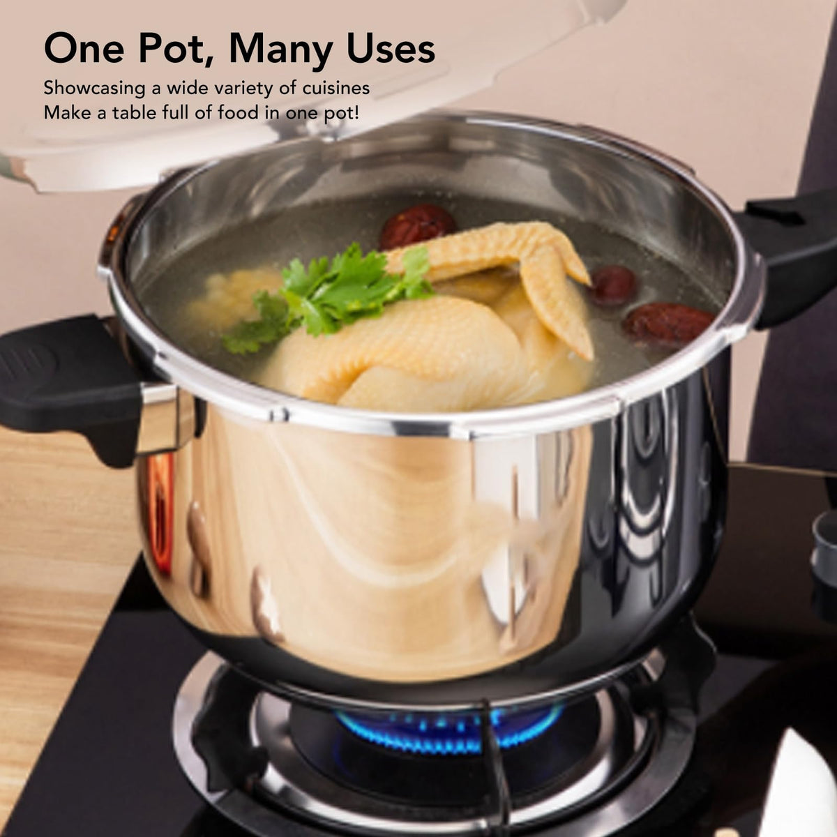 Stainless Steel 3L Pressure Cooker G454377