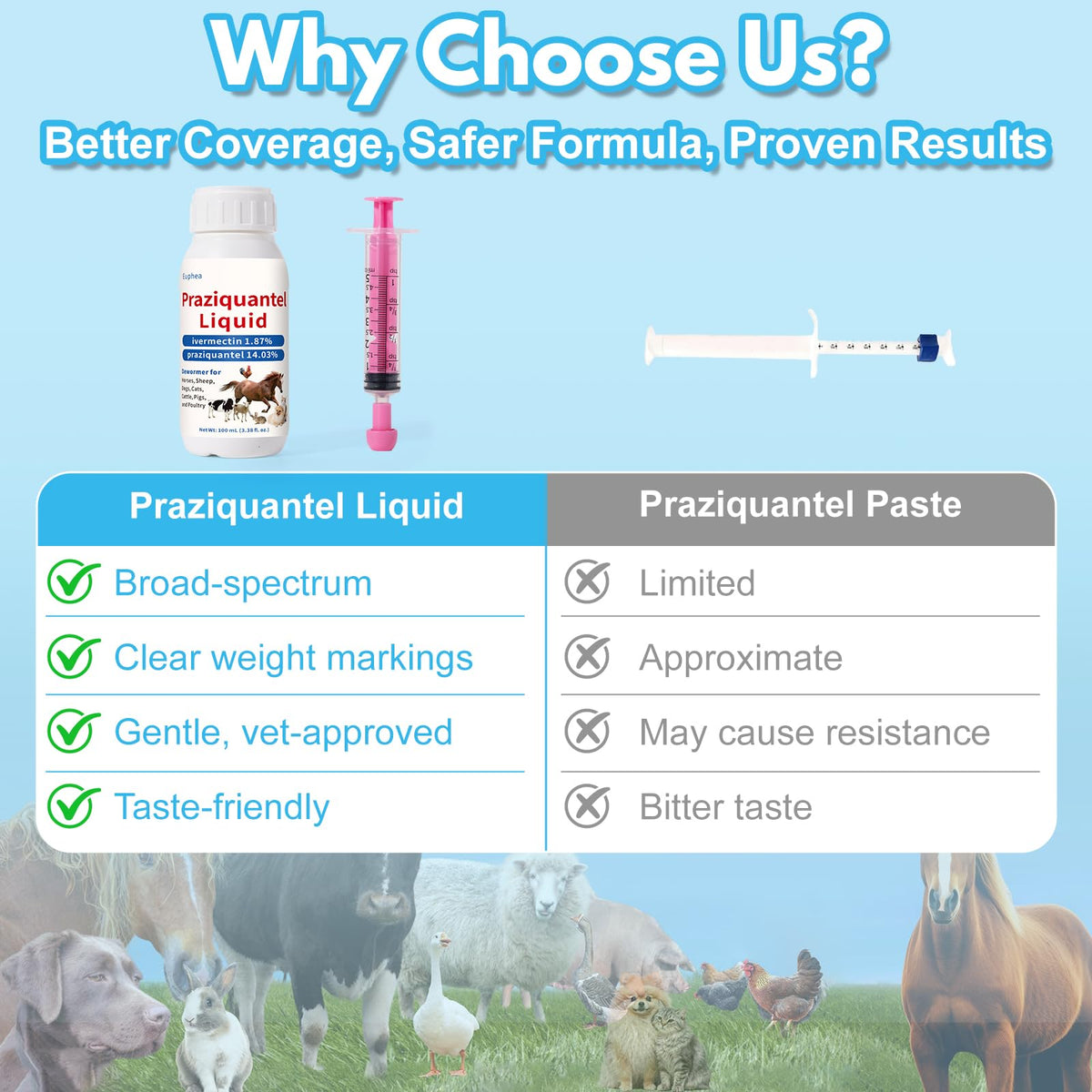 Praziquantel Dewormer 100 mL W5945