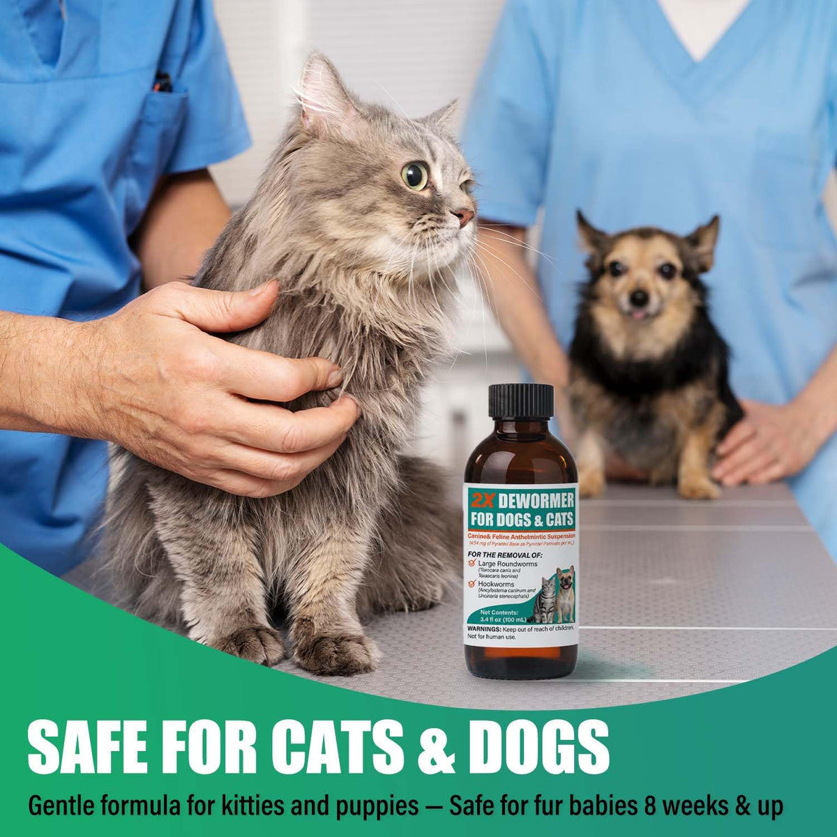 Liquid Dewormer 2X for Dogs & Cats, Pyrantel Pamoate Oral Liquid for Large Roundworms & Hookworms, 100 mL L495