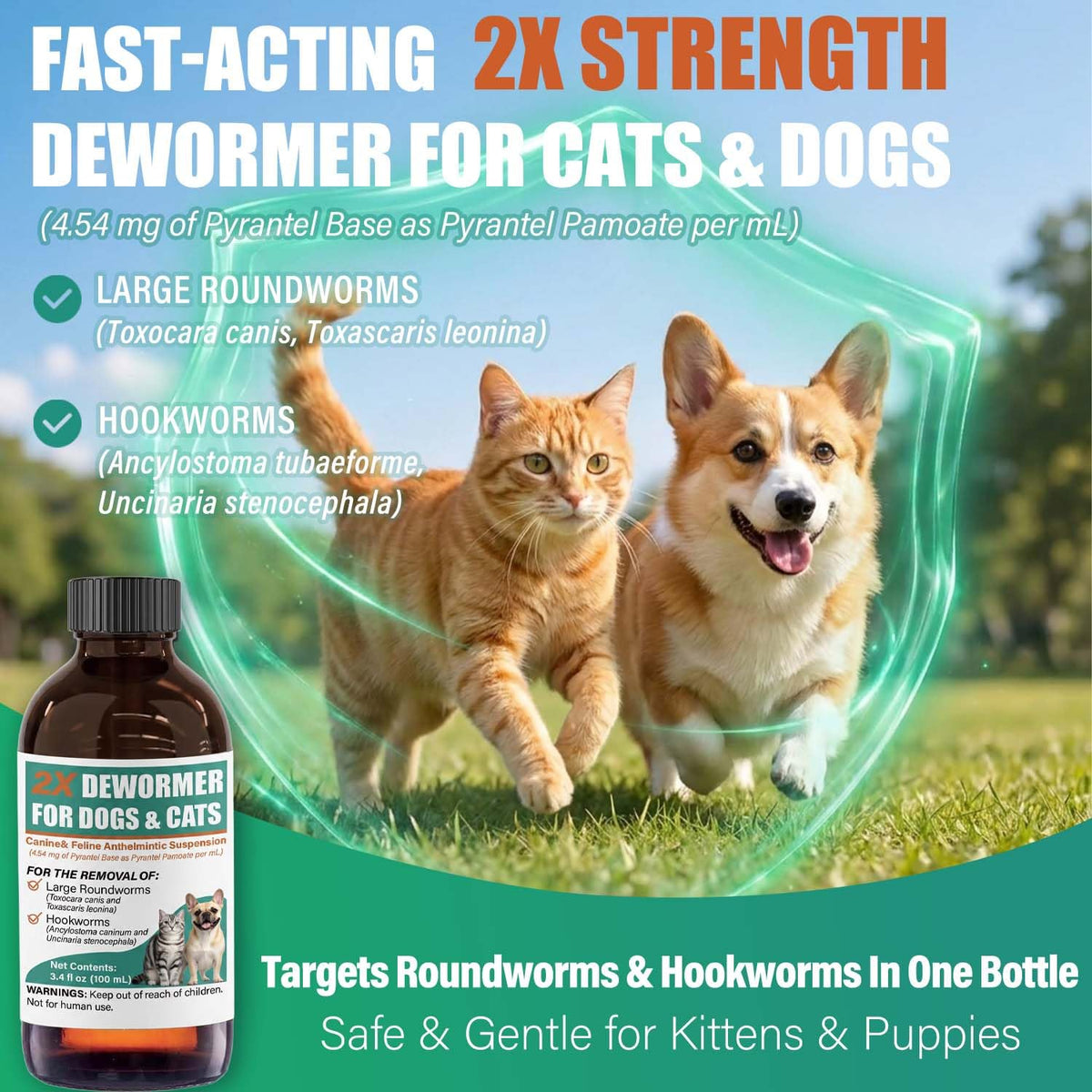 Liquid Dewormer 2X for Dogs & Cats, Pyrantel Pamoate Oral Liquid for Large Roundworms & Hookworms, 100 mL L495