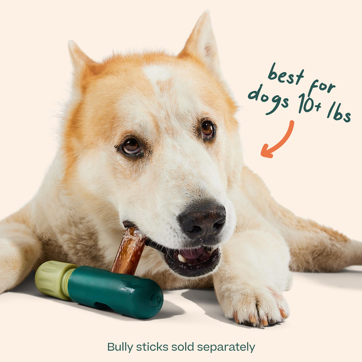 Bully Stick Holder for Dogs K700