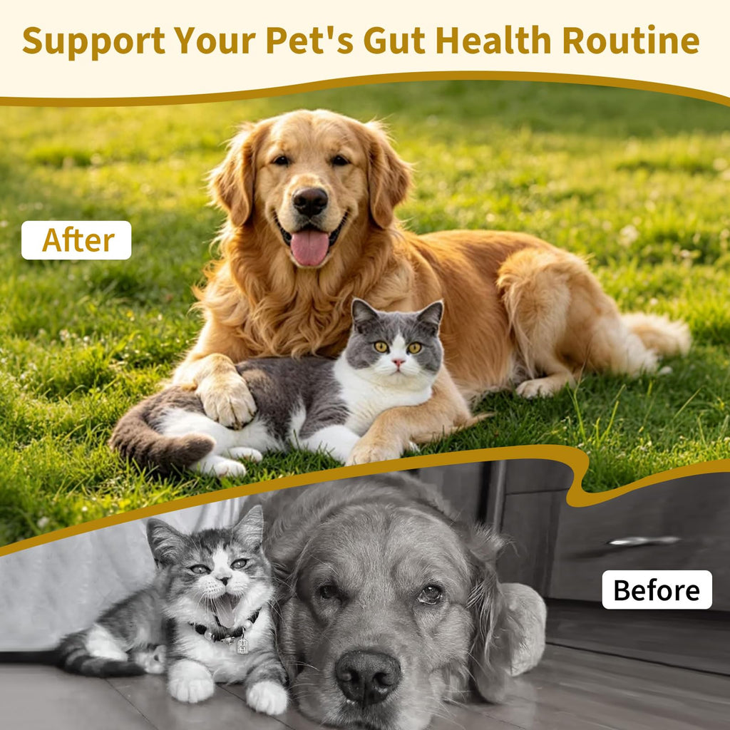 Dewormer for Cats & Dogs F5741