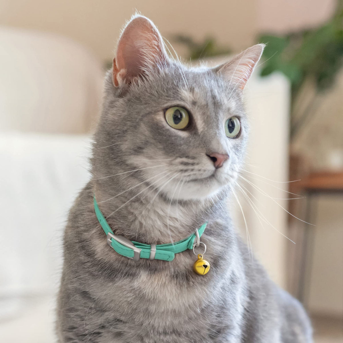 Soft Leather Cat Collar with Safety Elastic Strap Q87349