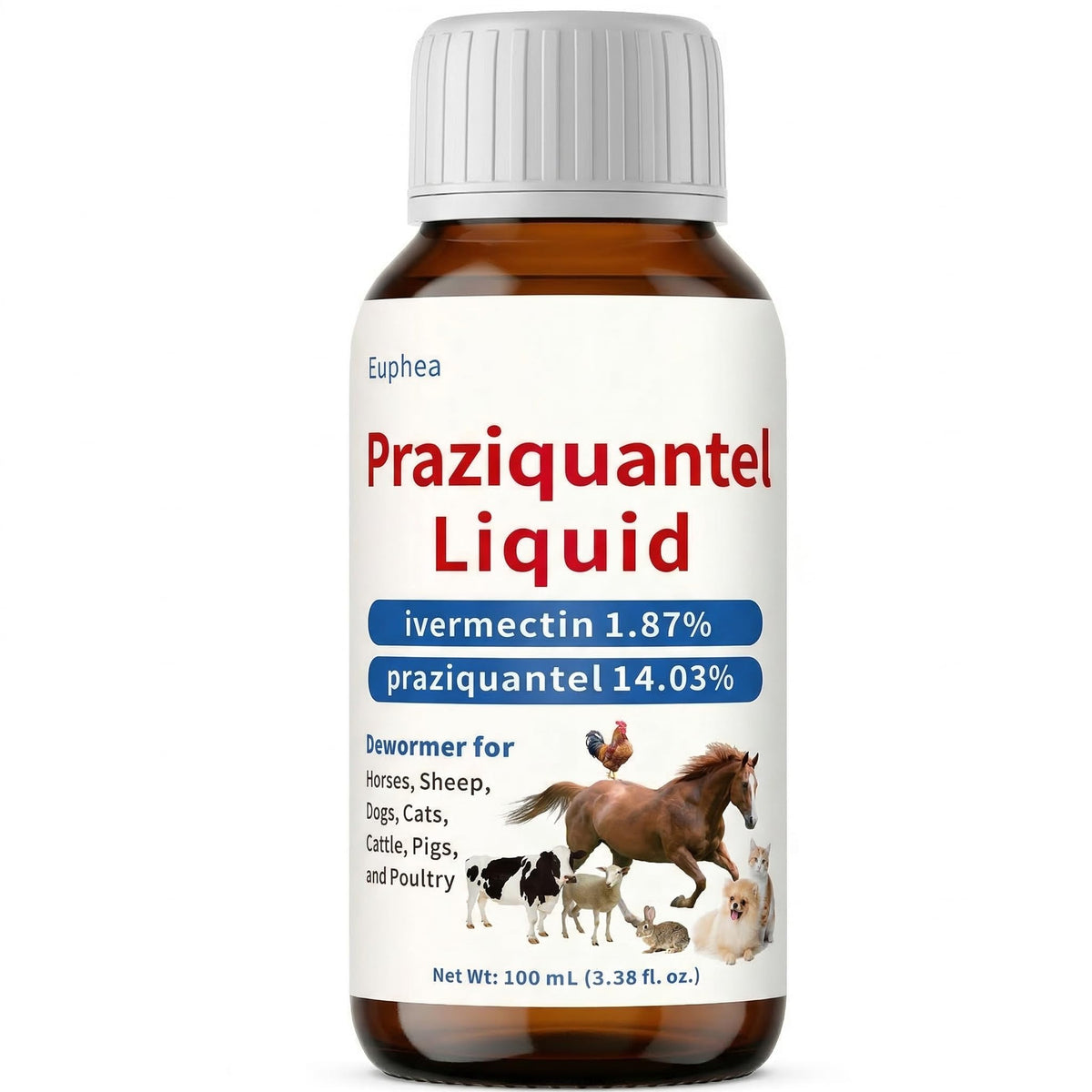 Praziquantel Dewormer 100 mL W5945