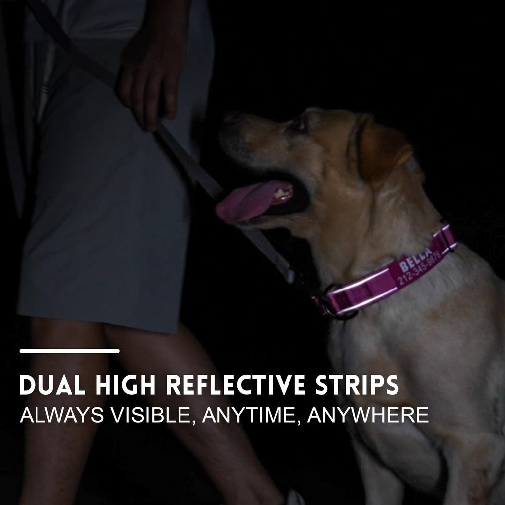Tactical Dog Collar with Handle L7568