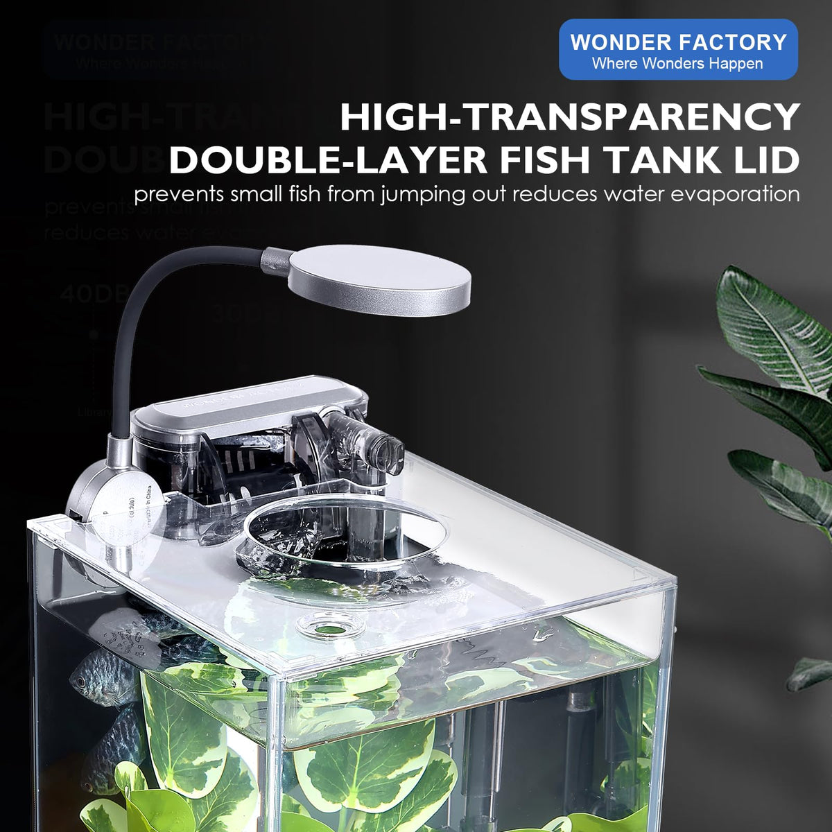 Glass 1.25 Gallon Aquarium Set with Filter LED Light D126