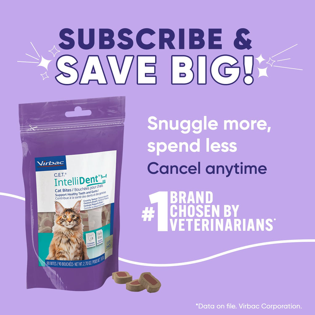 Cat Dental Care V124