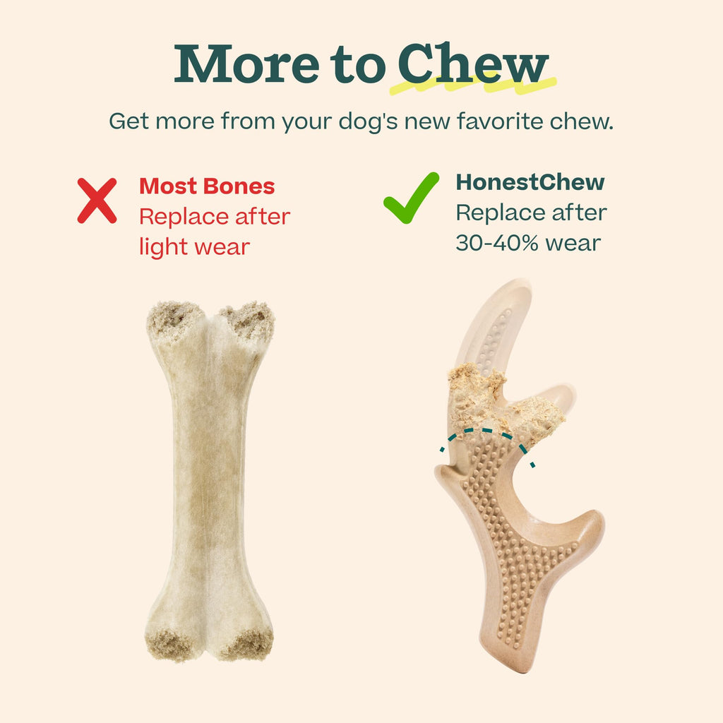 Antler Dog Chew Toy N240705