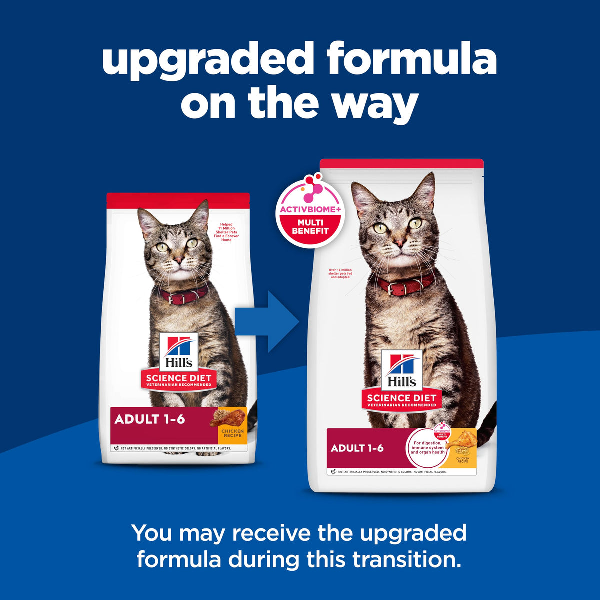 Dry Cat Food U2322