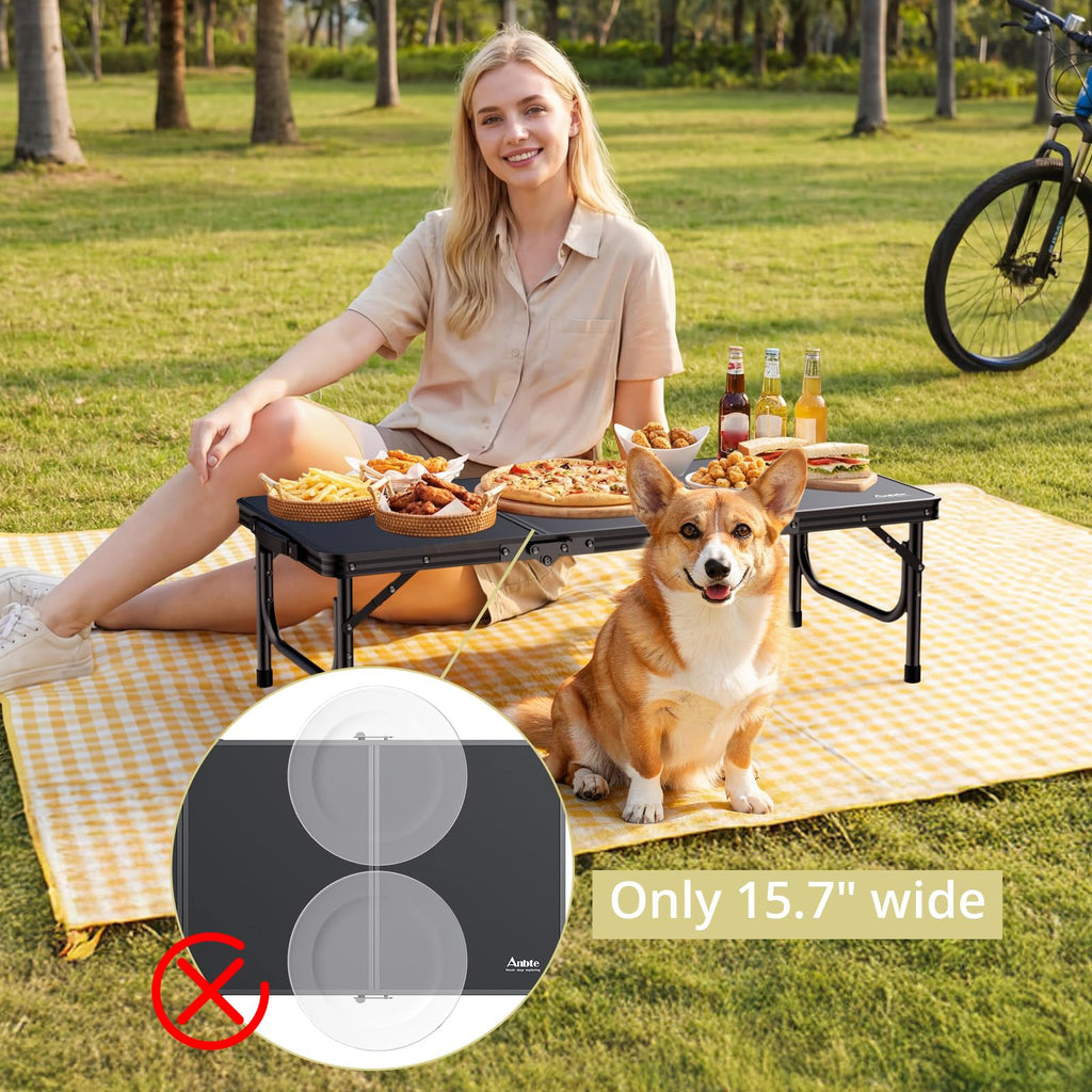 Black Folding Picnic Table V566