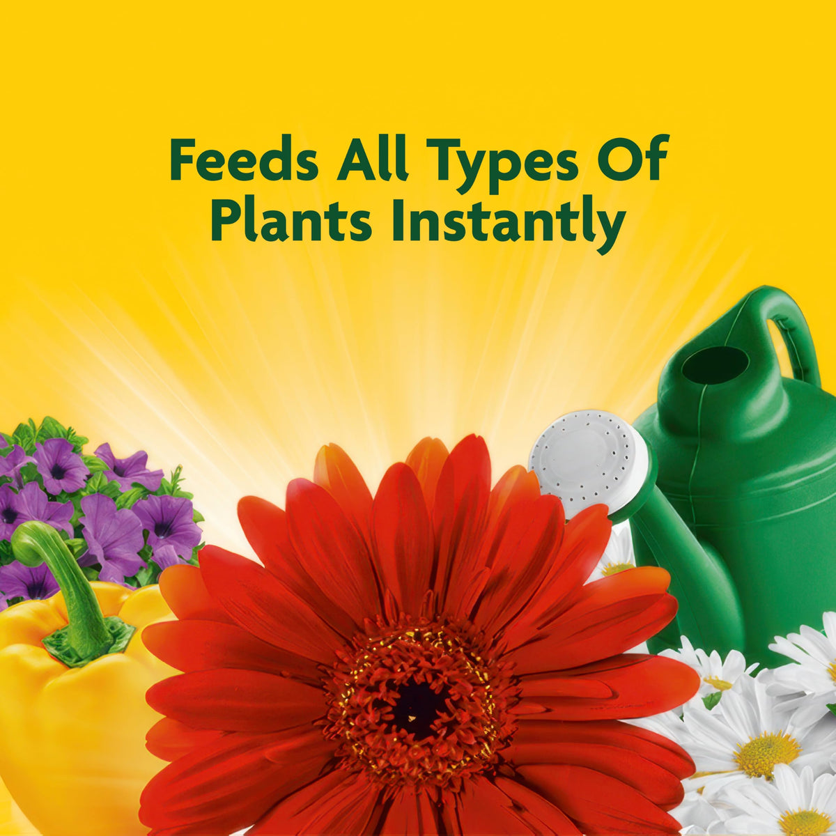 Liquid All Purpose Plant Food Concentrate 32 oz W2833