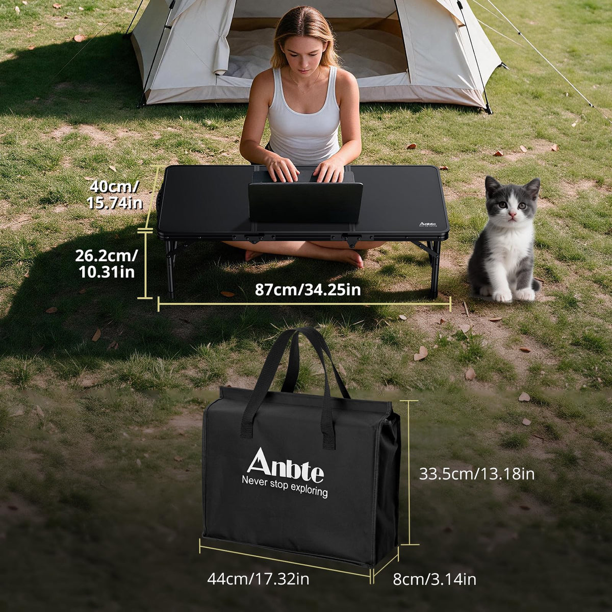Black Folding Picnic Table V566