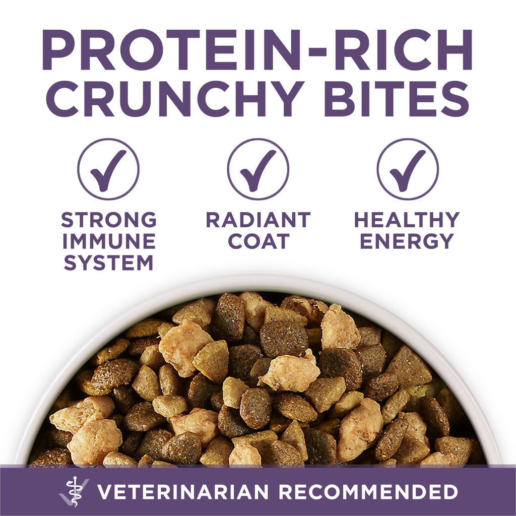 Senior Dry Dog Food 31.1 lb Bag Q638169