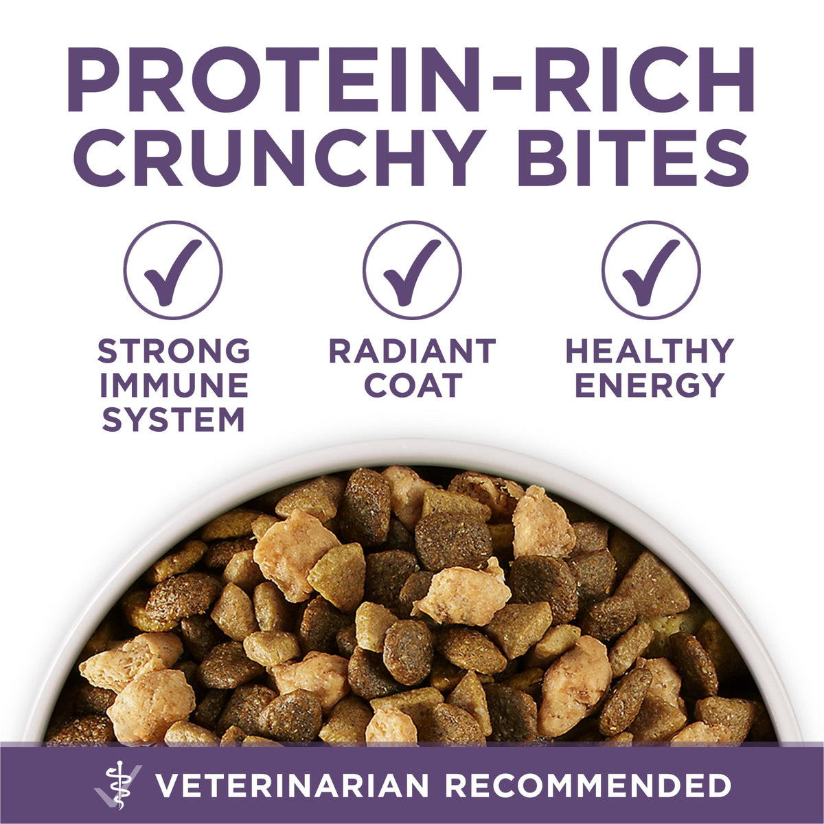 Senior Dry Dog Food 31.1 lb Bag Q638169