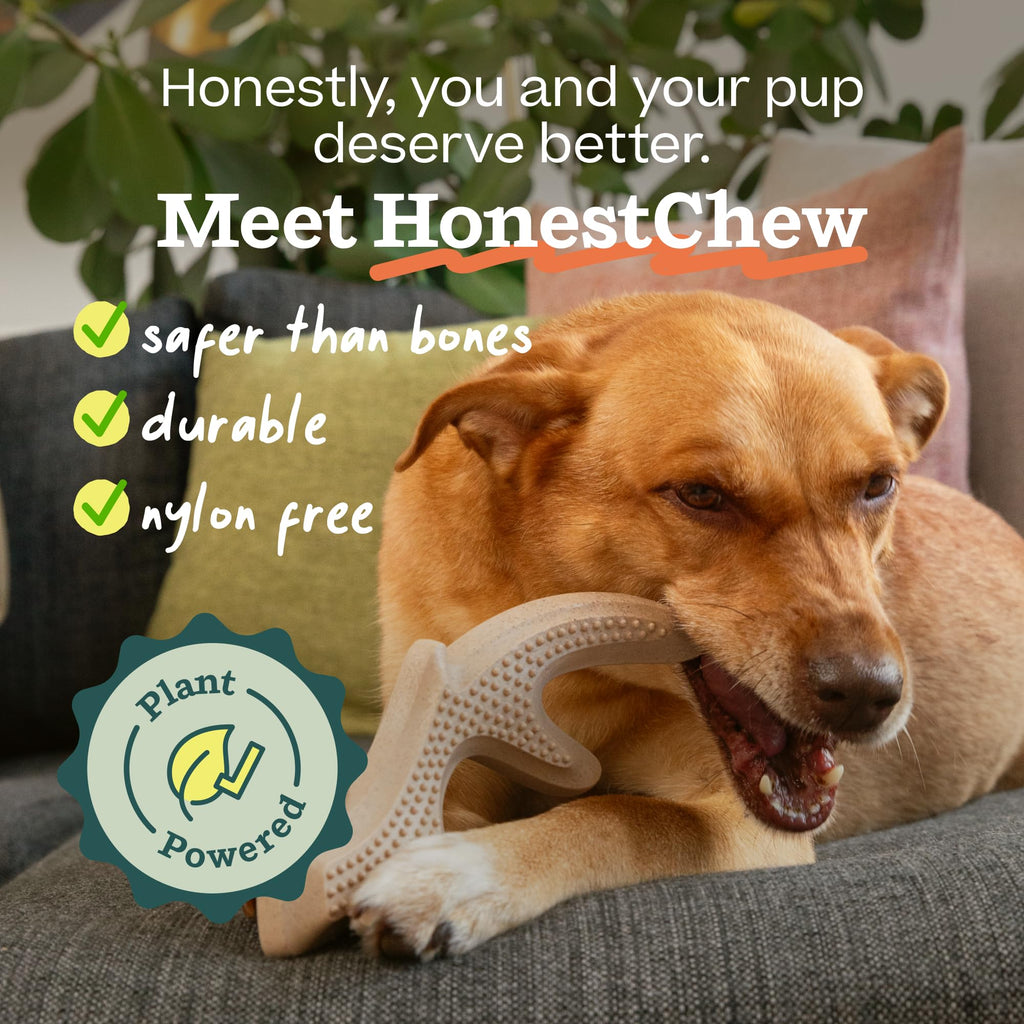 Antler Dog Chew Toy N240705