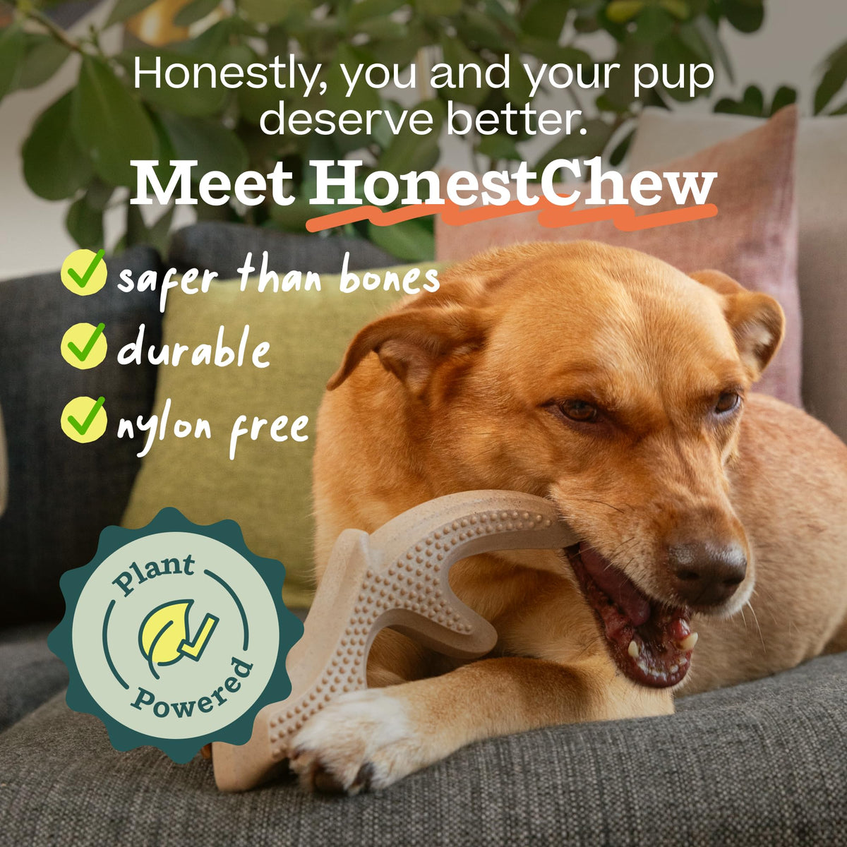 Antler Dog Chew Toy N240705