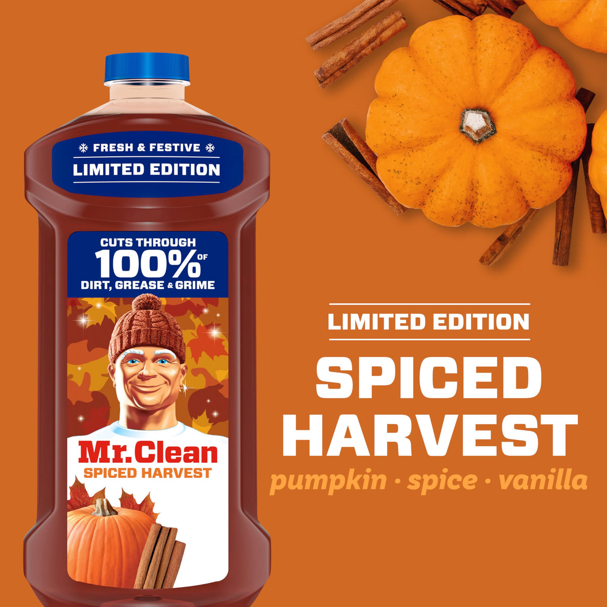 All Purpose Cleaner, Spiced Harvest, 41oz L85044