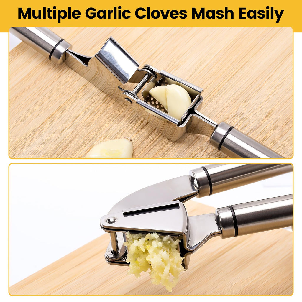 Stainless Steel Garlic Press Mincer F761283