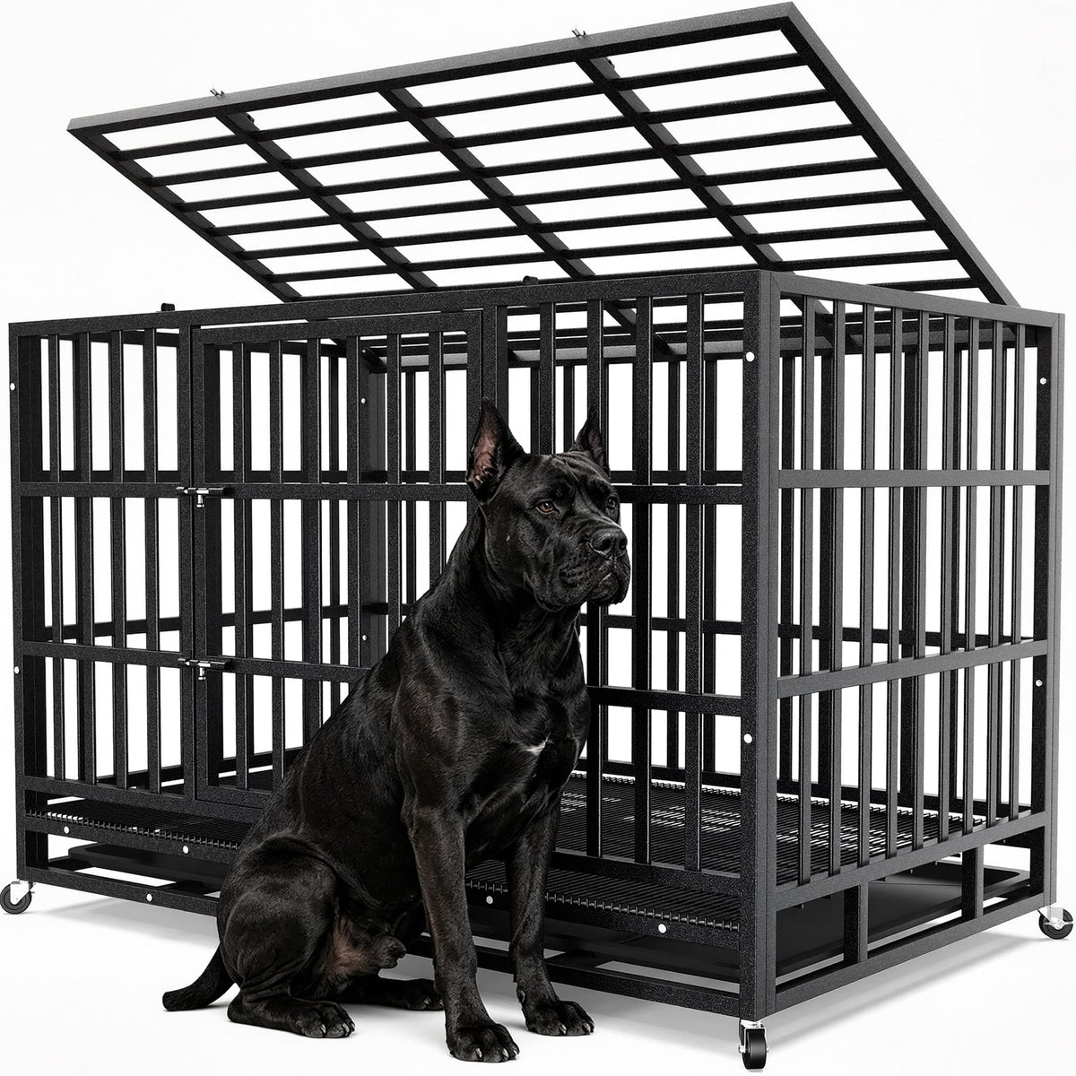 48 Inch Heavy Duty Dog Crate R208