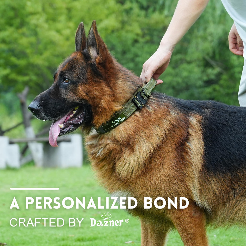 Tactical Dog Collar with Handle L7568