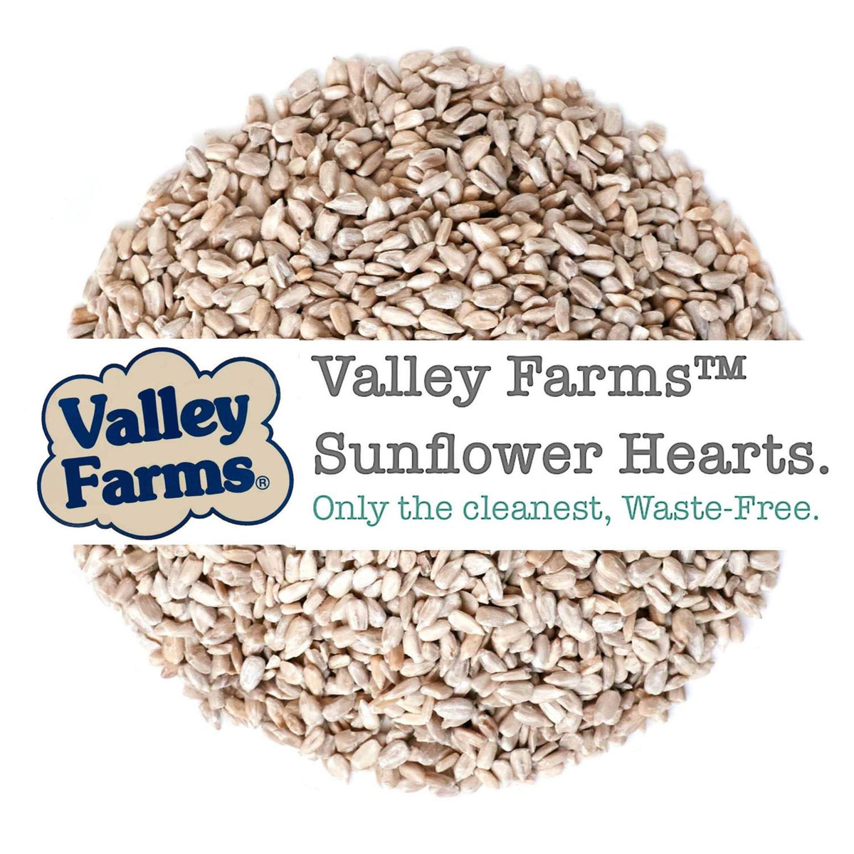 Sunflower Hearts Wild Bird Food Y266